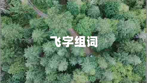 飛字組詞 飛字組詞