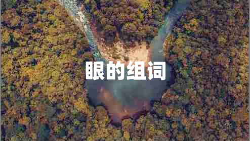 眼的組詞