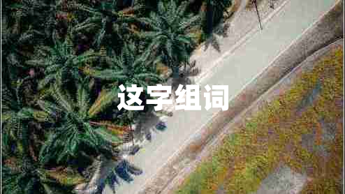 這字組詞