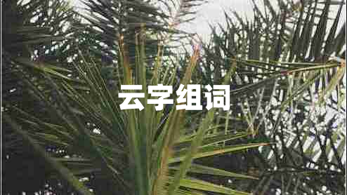 云字組詞