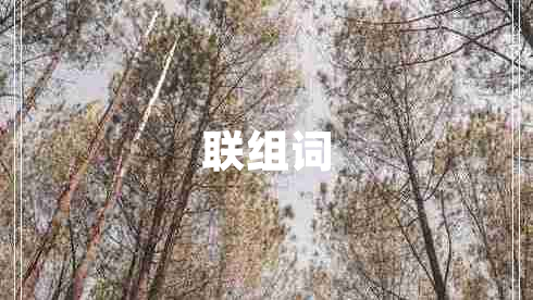聯(lián)組詞