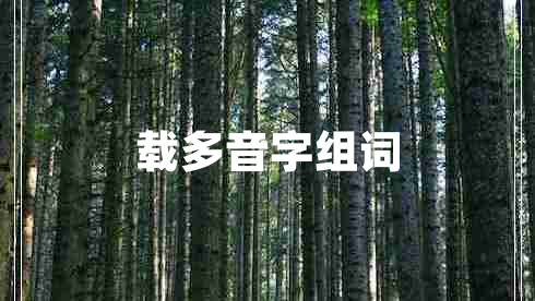 載多音字組詞 載多音字組詞