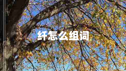 纖怎么組詞