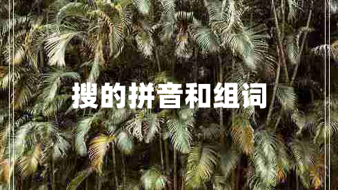 搜的拼音和組詞