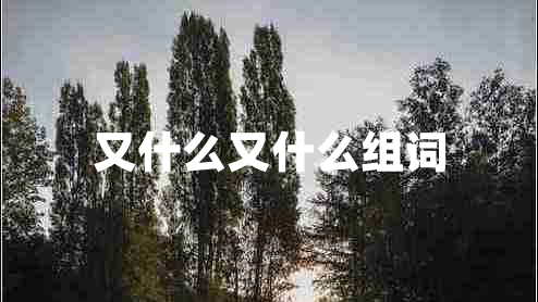 又什么又什么組詞