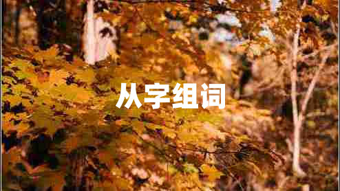 從字組詞