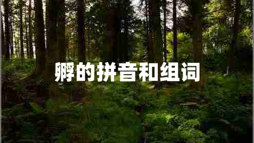 孵的拼音和組詞