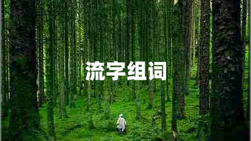 流字組詞 流字組詞