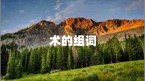 術(shù)的組詞 術(shù)的組詞