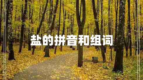 鹽的拼音和組詞 鹽的拼音和組詞