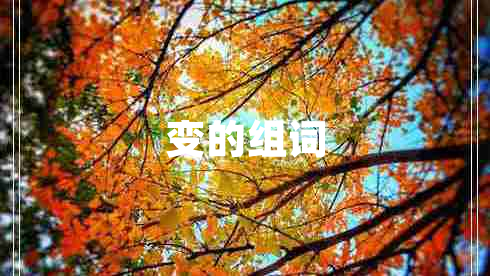 變的組詞