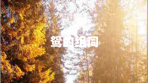 鴛的組詞