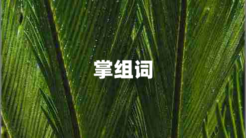 掌組詞