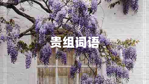 貴組詞語(yǔ) 貴組詞語(yǔ)