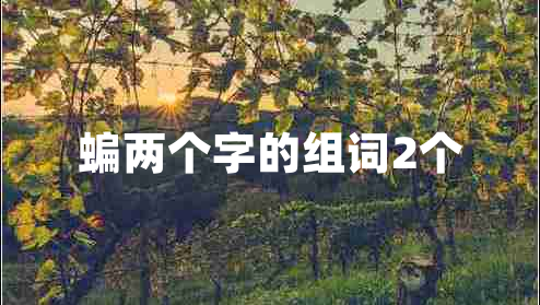 蝙兩個字的組詞2個
