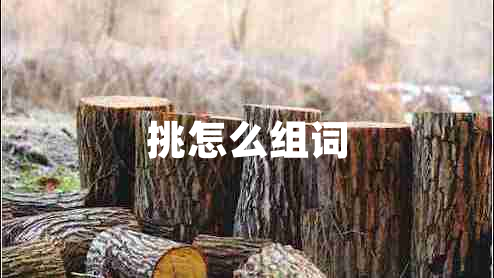 挑怎么組詞