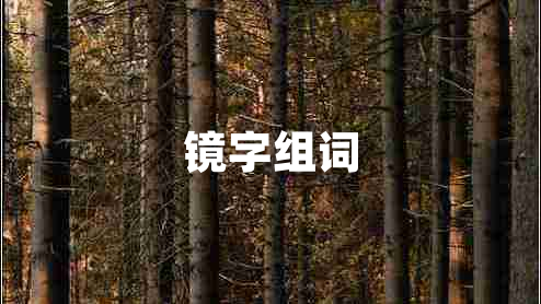 鏡字組詞 鏡字組詞