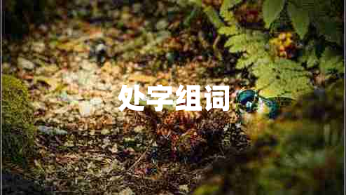 處字組詞 處字組詞