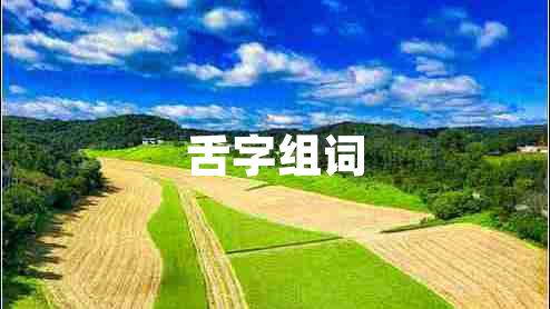 舌字組詞 舌字組詞