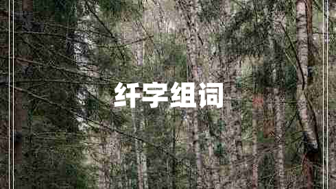 纖字組詞