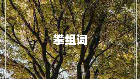攀組詞 攀組詞