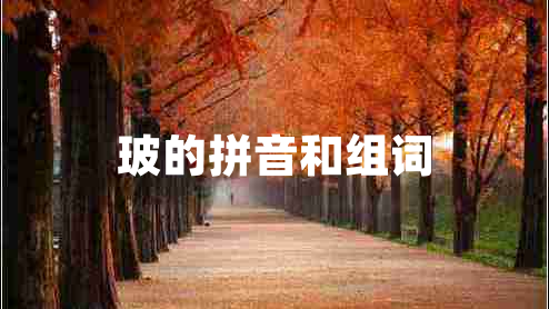 玻的拼音和組詞