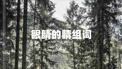 眼睛的睛組詞