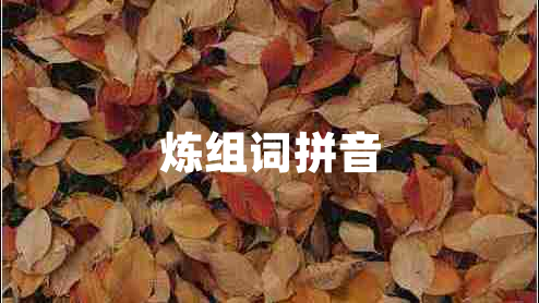 煉組詞拼音