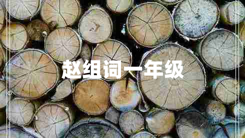 趙組詞一年級(jí) 趙組詞一年級(jí)