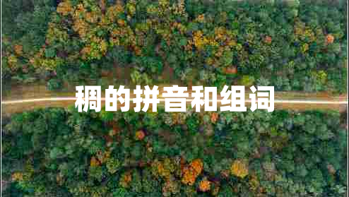 稠的拼音和組詞