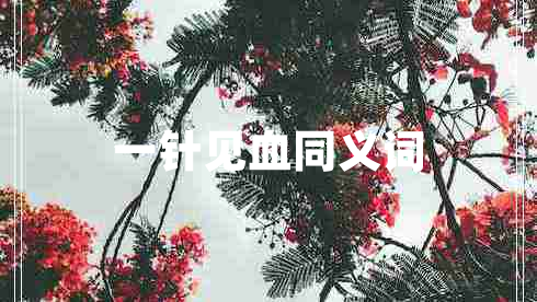 一針見血同義詞