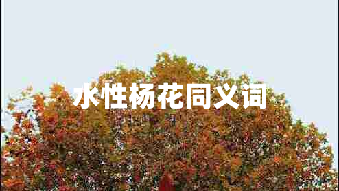 水性楊花同義詞