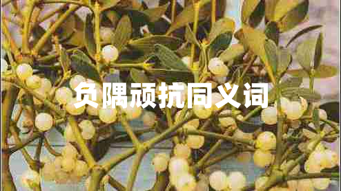 負(fù)隅頑抗同義詞