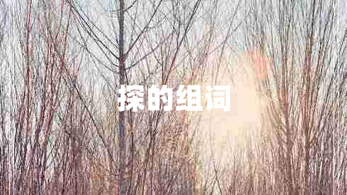 探的組詞