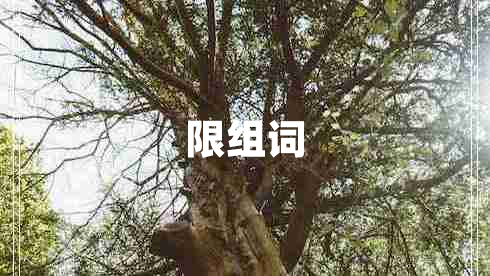 限組詞