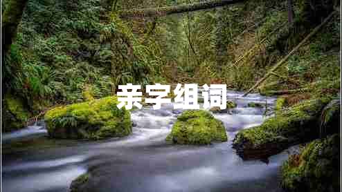 親字組詞 親字組詞