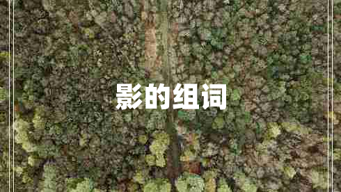 影的組詞 影的組詞