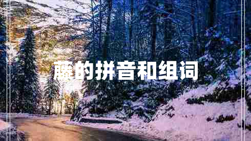 藤的拼音和組詞