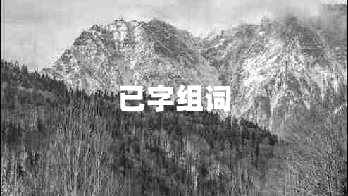 已字組詞