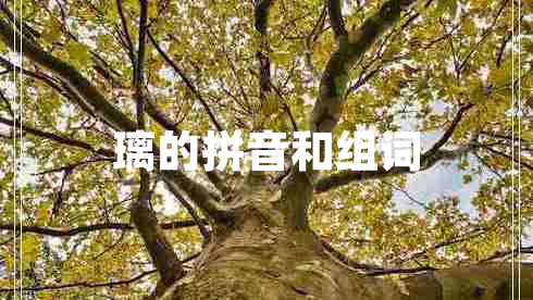 璃的拼音和組詞