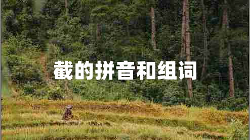 截的拼音和組詞