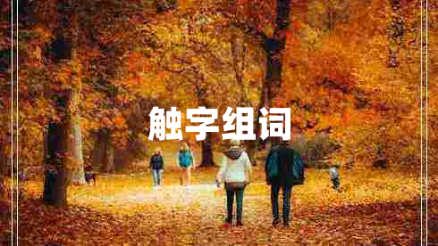 觸字組詞