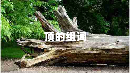 頂?shù)慕M詞 頂?shù)慕M詞