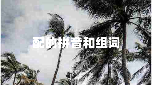 配的拼音和組詞