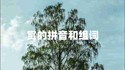 賞的拼音和組詞