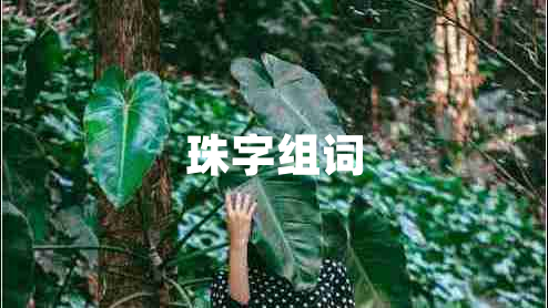 珠字組詞 珠字組詞