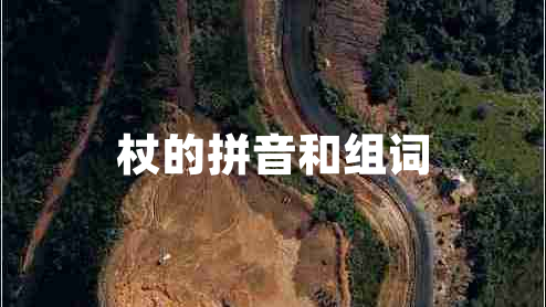 杖的拼音和組詞