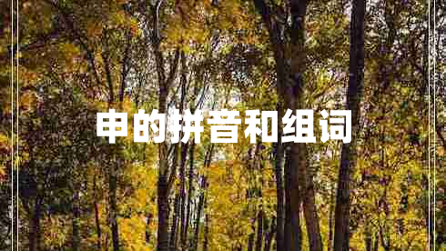 申的拼音和組詞