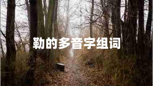 勒的多音字組詞