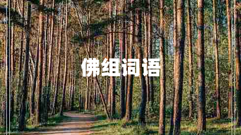 佛組詞語 佛組詞語